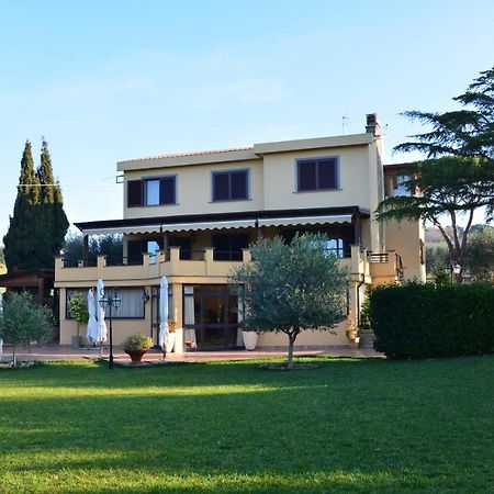Bed And Breakfast La Corte Degli Ulivi Civitavecchia Zewnętrze zdjęcie