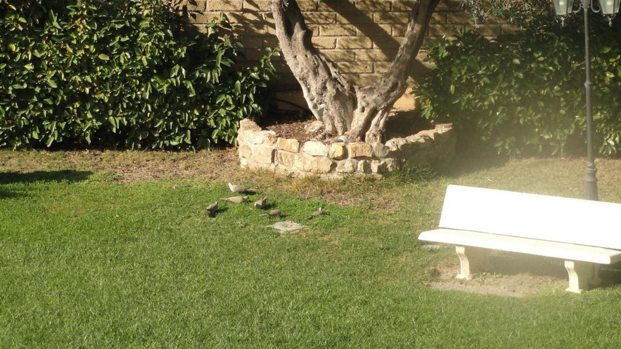 Bed And Breakfast La Corte Degli Ulivi Civitavecchia Zewnętrze zdjęcie